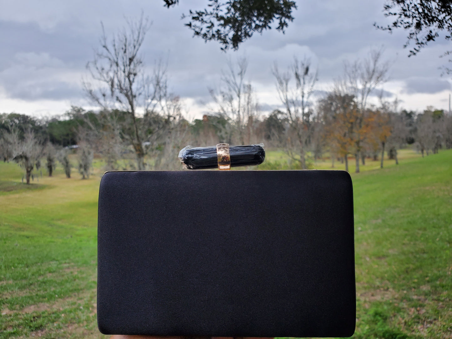 Rhinestone inspired metal clutch